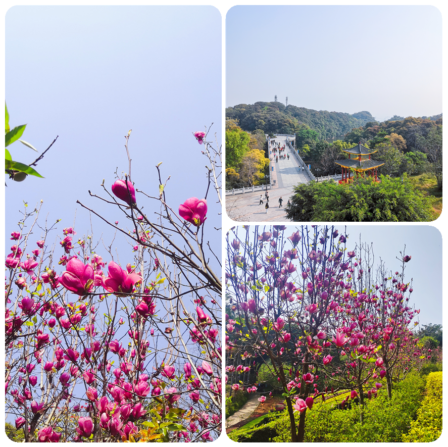 圖片5.png 圖片5.png